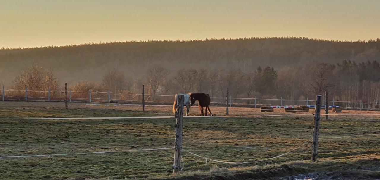 ApartIzer Świeradów Zdrój Pobiedna Exterior foto