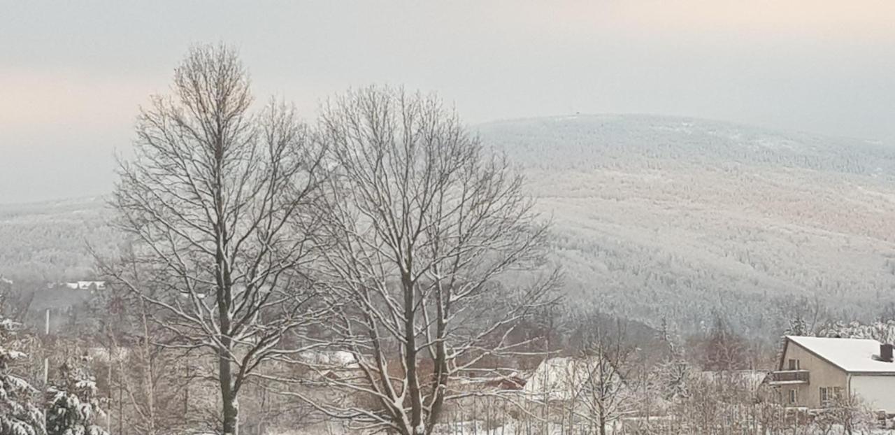 ApartIzer Świeradów Zdrój Pobiedna Exterior foto